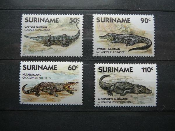 Krokodilai Surinamas 1988 svarus #2