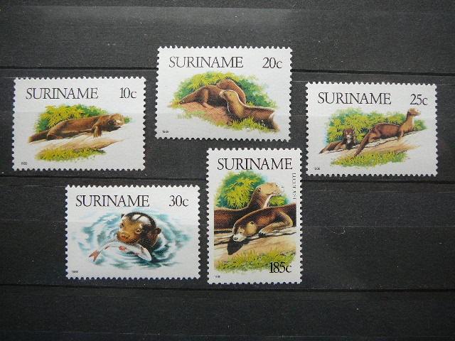 Udros Surinamas 1989 svarus #3