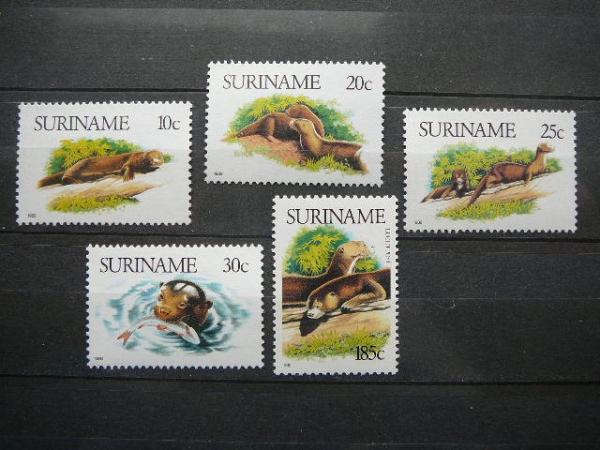 Udros Surinamas 1989 svarus #3
