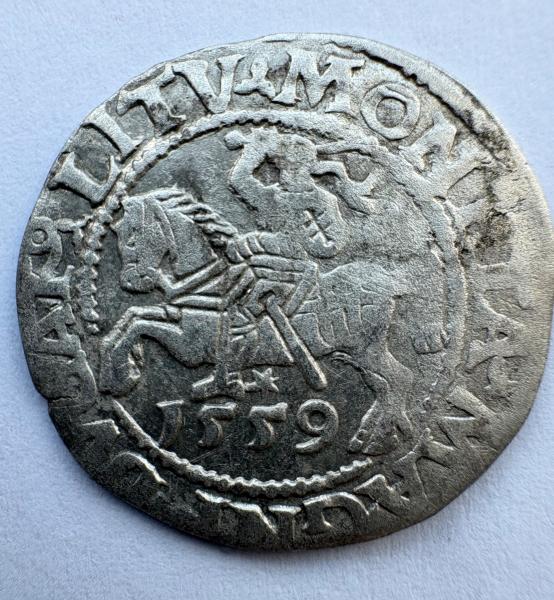 Žygimanto Augusto 1559 pusgrašis 