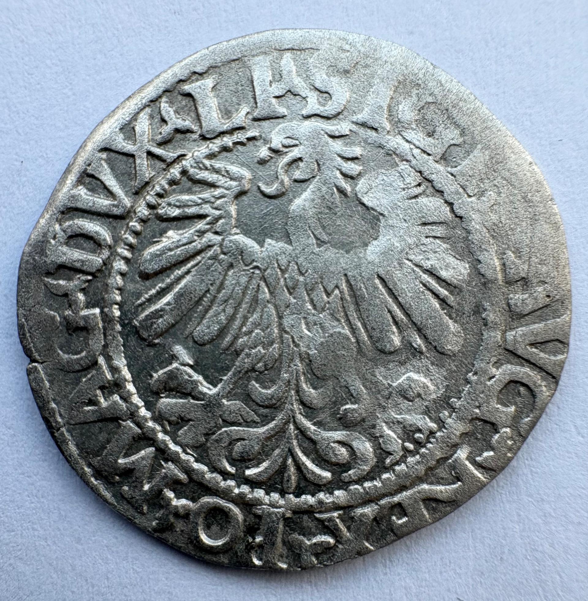 Žygimanto Augusto 1559 pusgrašis 