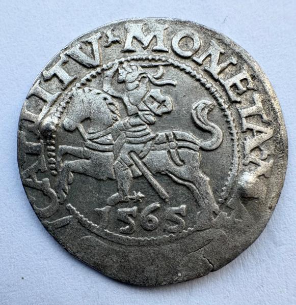 Žygimanto Augusto 1565 pusgrašis 