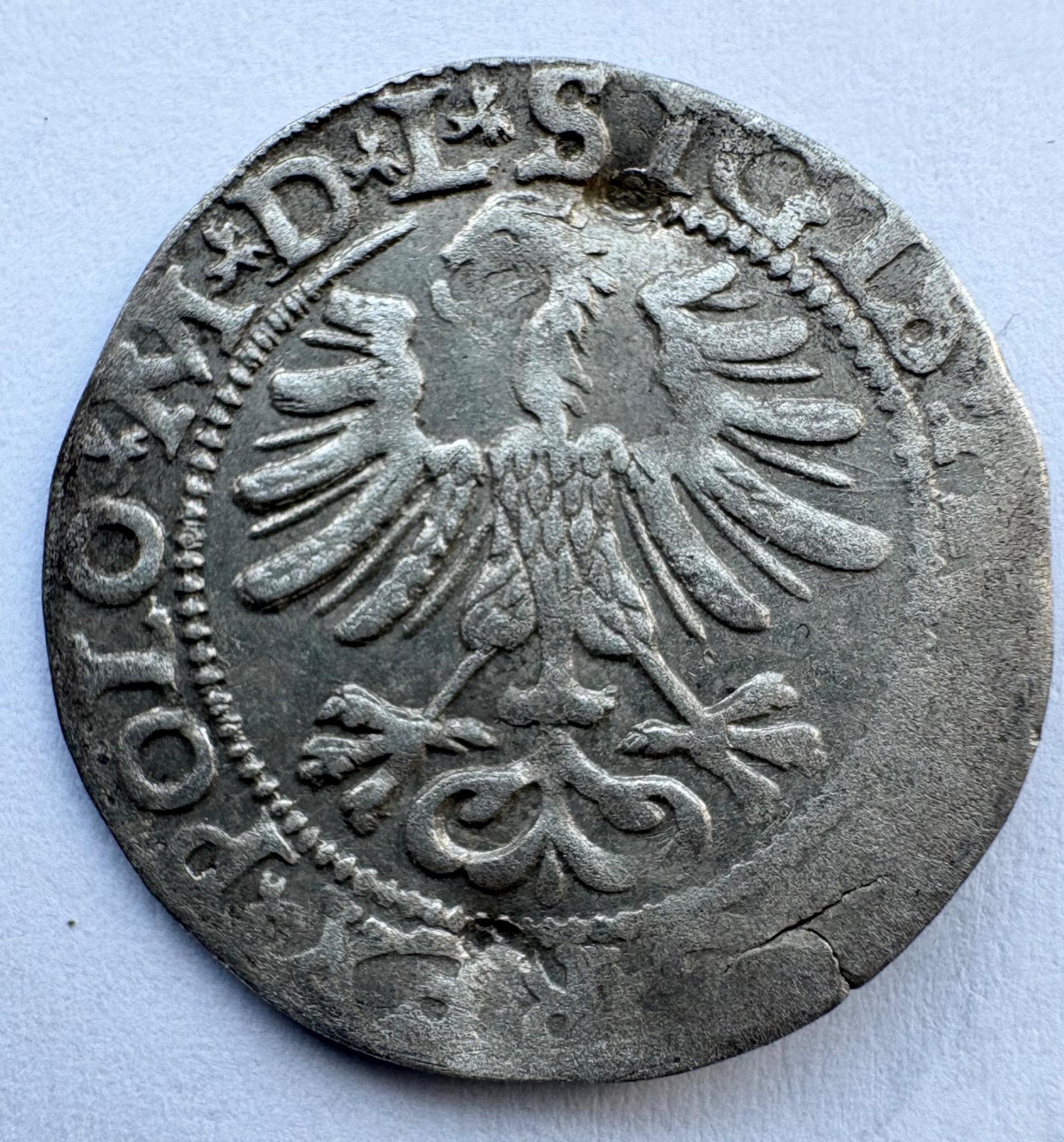 Žygimanto Augusto 1565 pusgrašis 