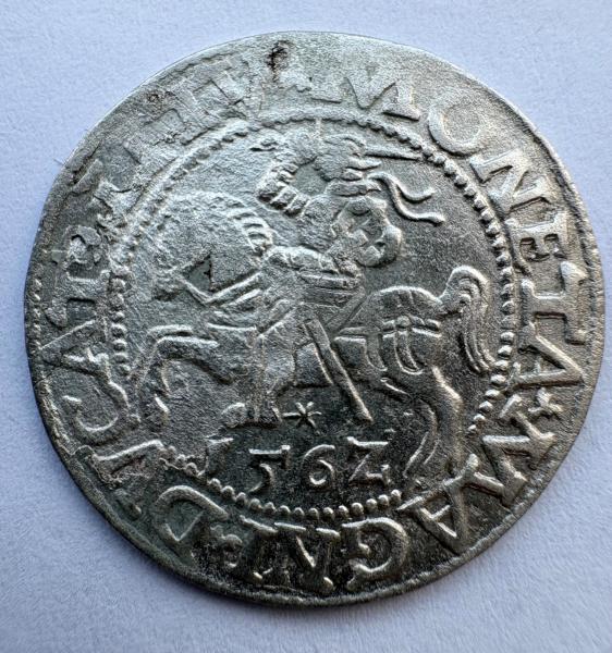 Žygimanto Augusto 1562 pusgrašis 
