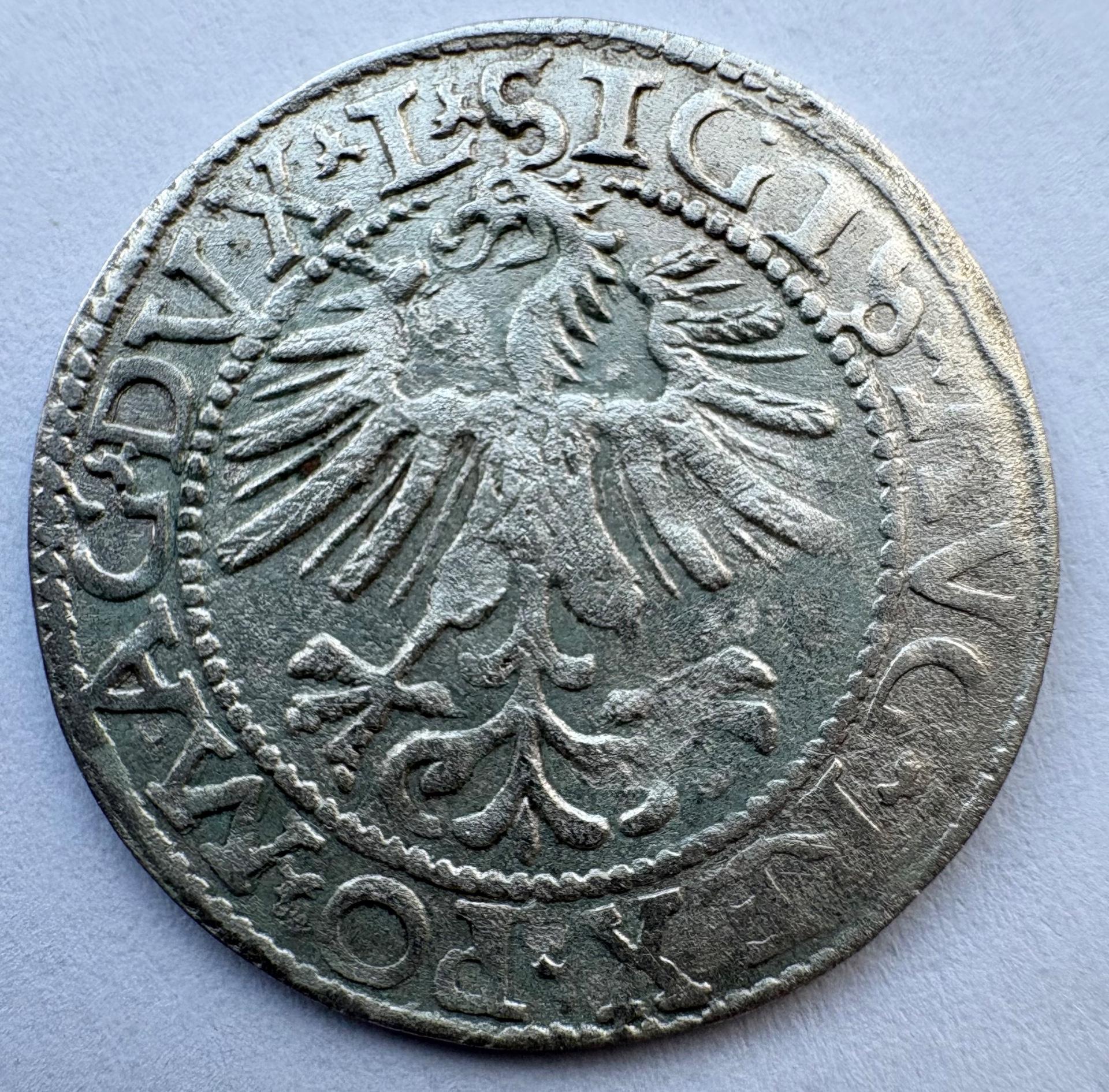 Žygimanto Augusto 1562 pusgrašis 