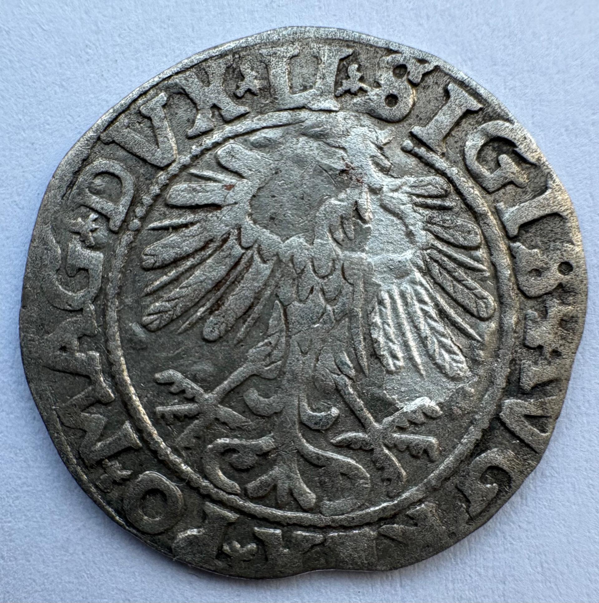 Žygimanto Augusto 1557 pusgrašis 