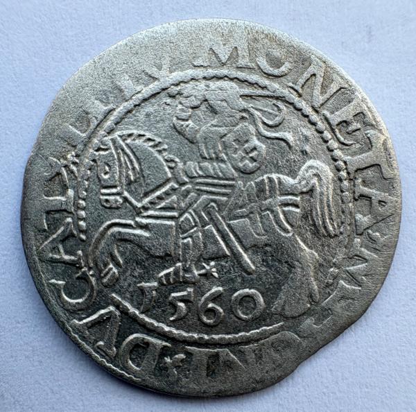 Žygimanto Augusto 1560 pusgrašis 