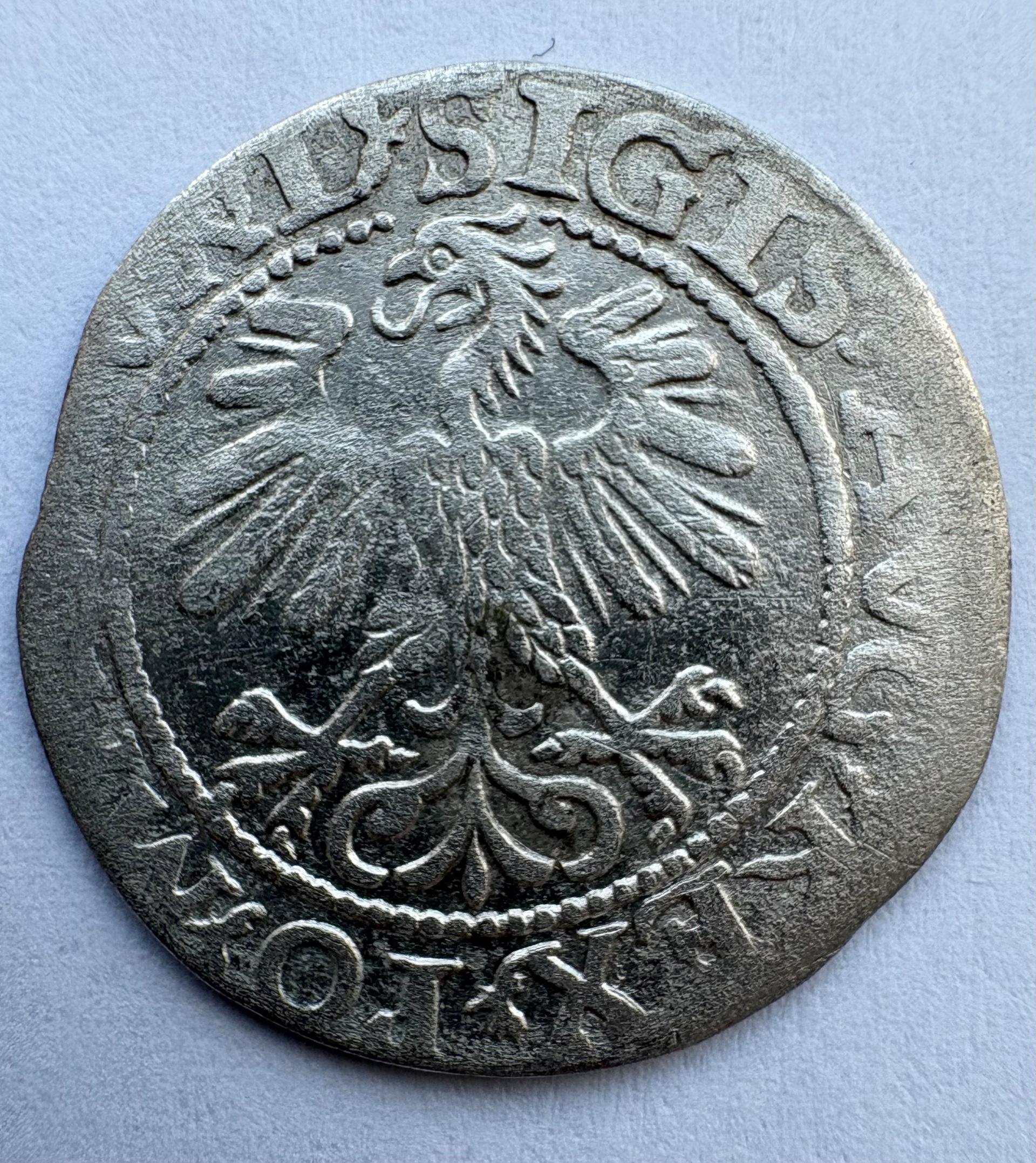 Žygimanto Augusto 1560 pusgrašis 