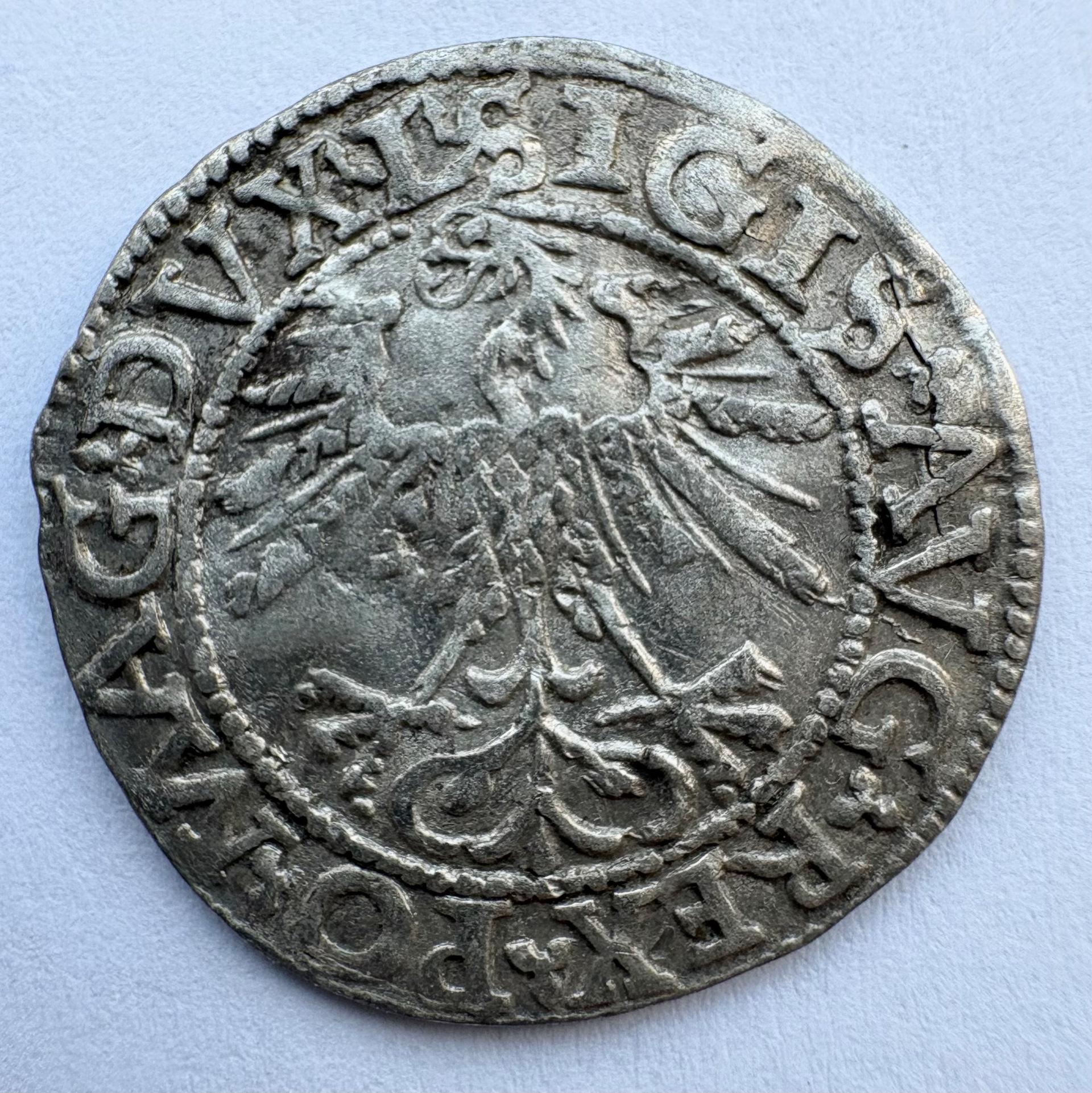 Žygimanto Augusto 1562 pusgrašis 