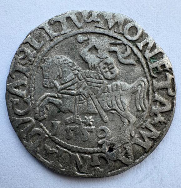 Žygimanto Augusto 1559 pusgrašis 