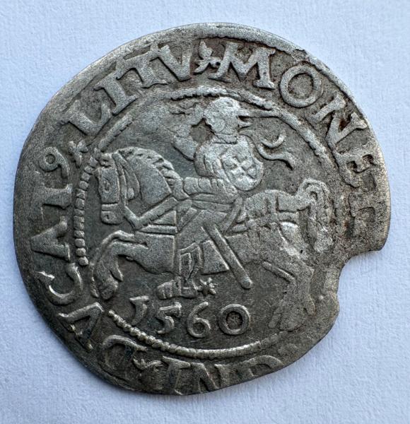 Žygimanto Augusto 1560 pusgrašis 