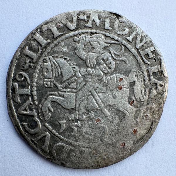 Žygimanto Augusto 1560 pusgrašis 