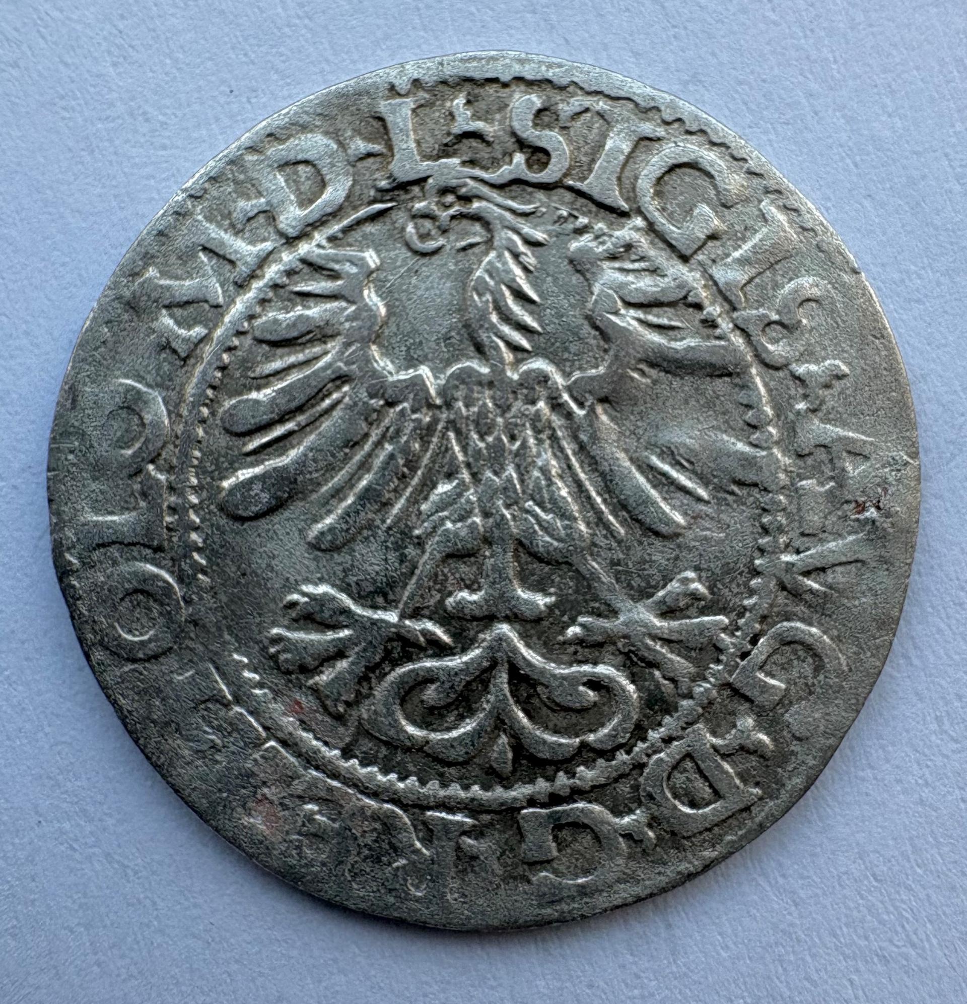 Žygimanto Augusto 1565 pusgrašis 