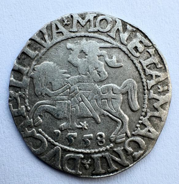Žygimanto Augusto 1558 pusgrašis 