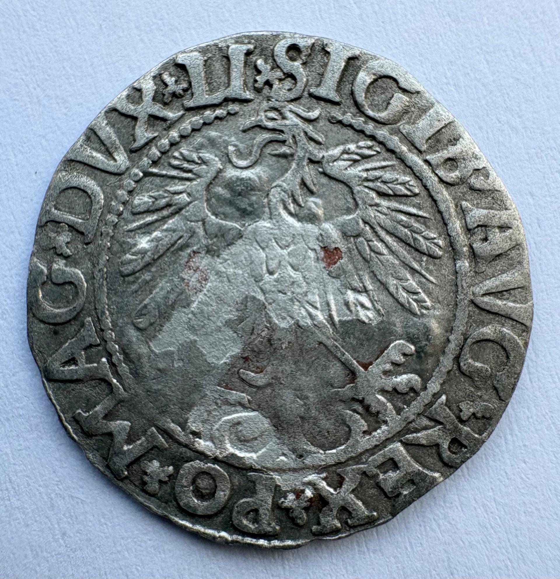 Žygimanto Augusto 1558 pusgrašis 