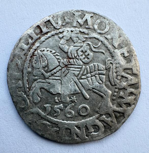 Žygimanto Augusto 1560 pusgrašis 