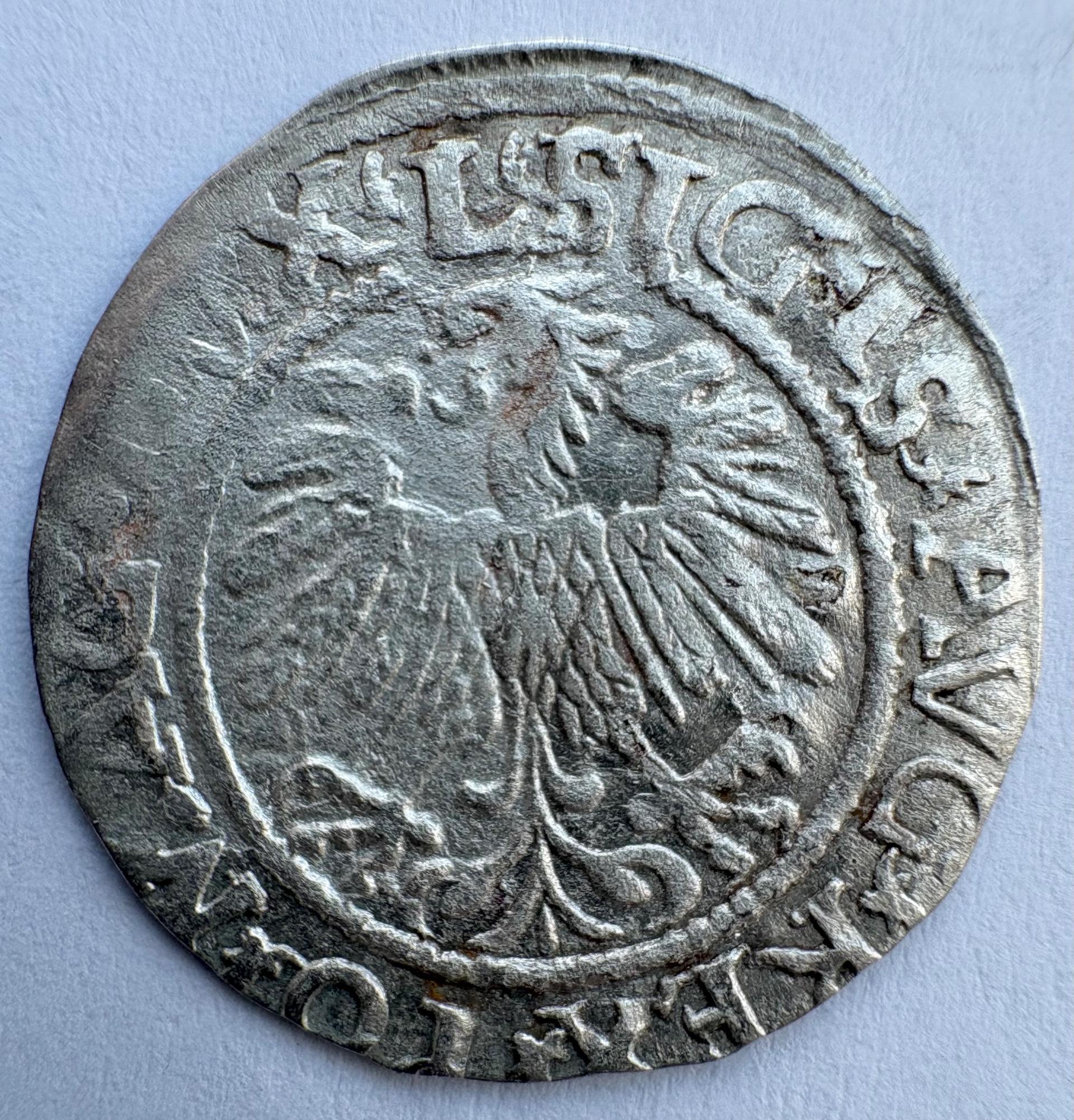 Žygimanto Augusto 1559 pusgrašis 