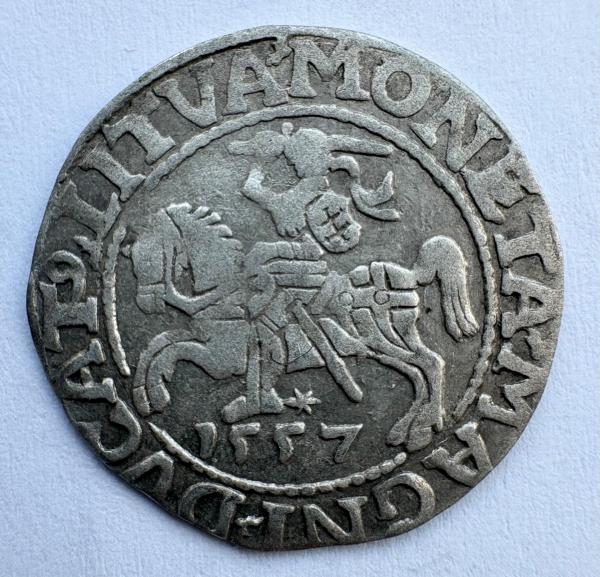 Žygimanto Augusto 1557 pusgrašis 