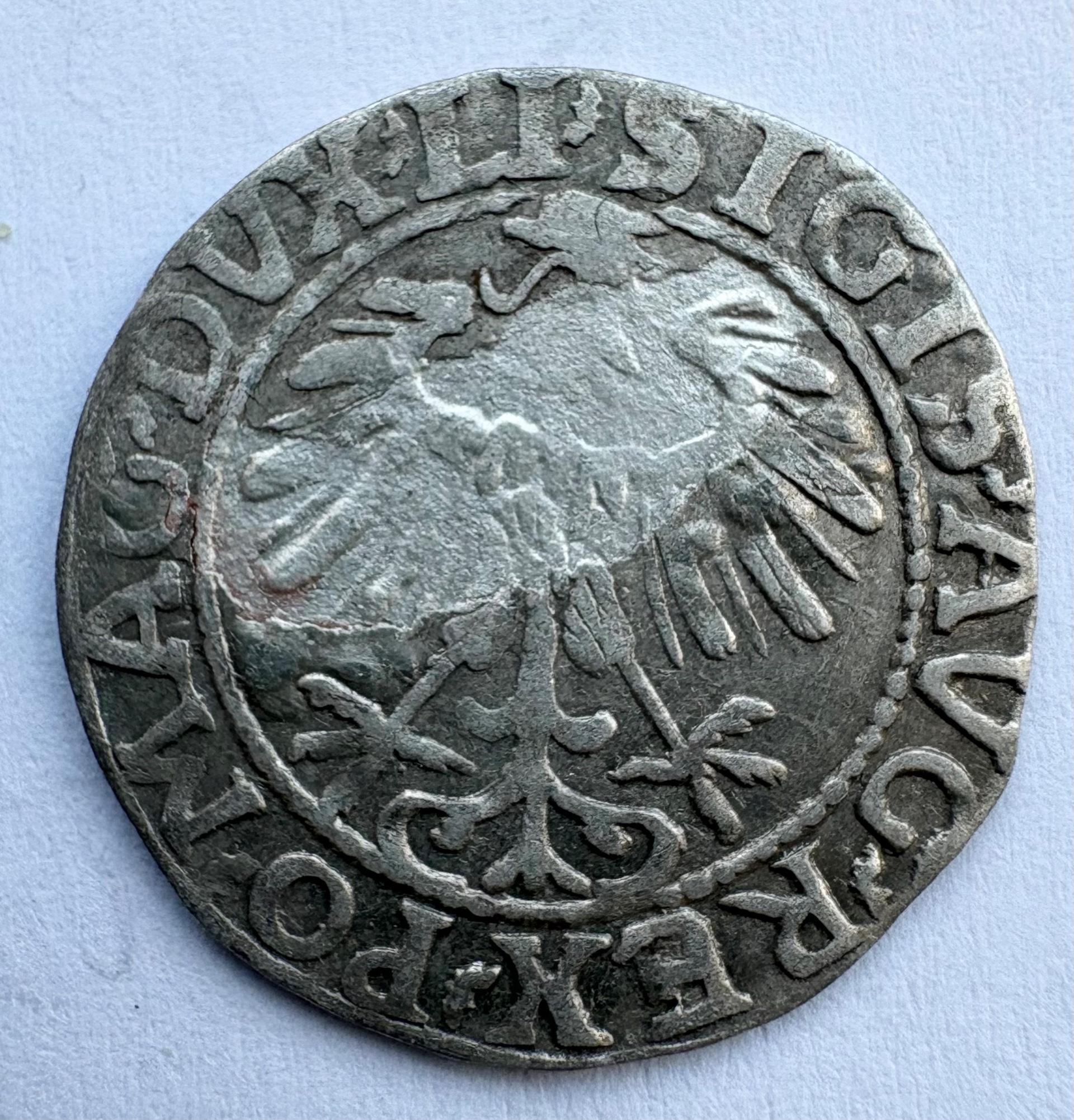 Žygimanto Augusto 1557 pusgrašis 