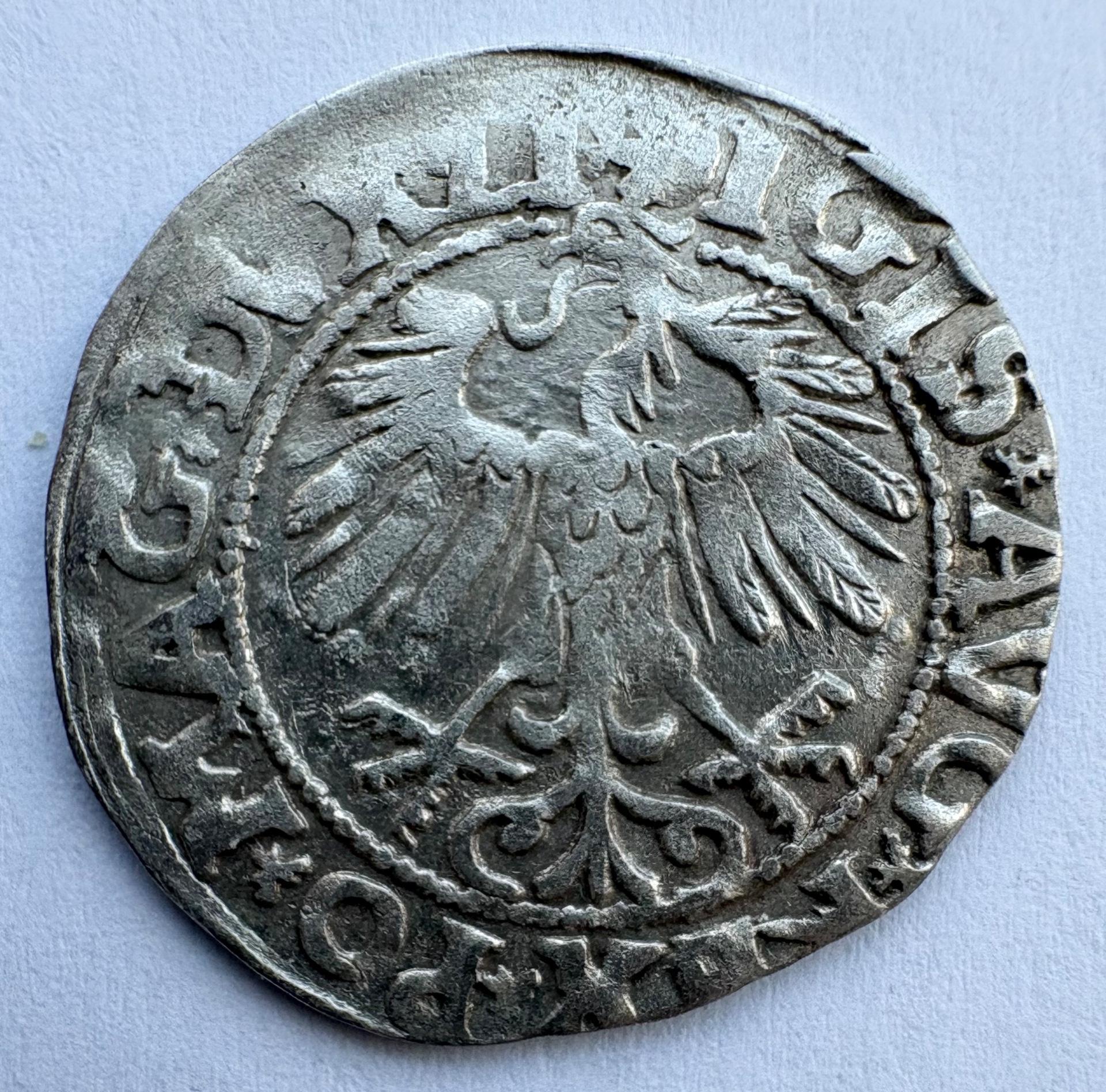 Žygimanto Augusto 1558 pusgrašis 