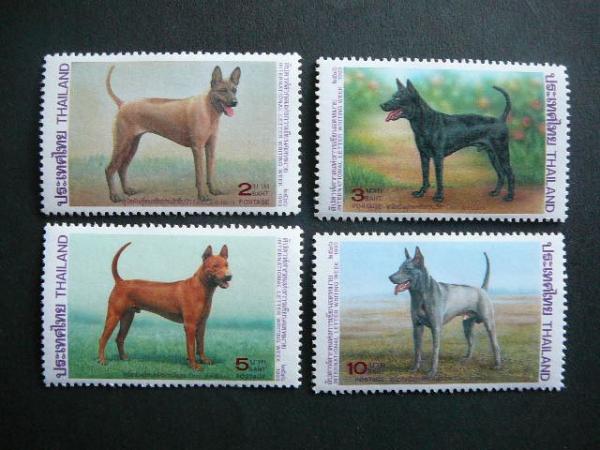 Tailandas 1993 Sunys svarus #