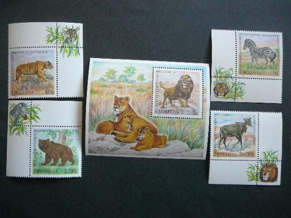 Moldavija 2001 Liutai Tigrai Meskos  svarus #