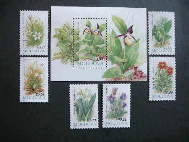 Moldavija 1993 Orchidejos Geles MNH #