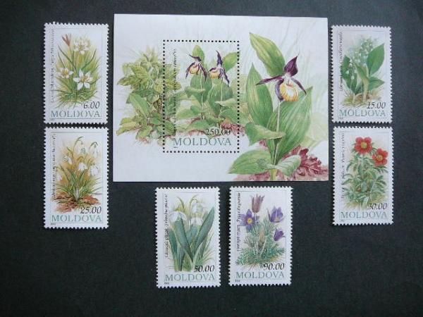Moldavija 1993 Orchidejos Geles MNH #