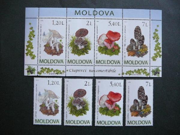 Moldavija 2010 Grybai MNH #