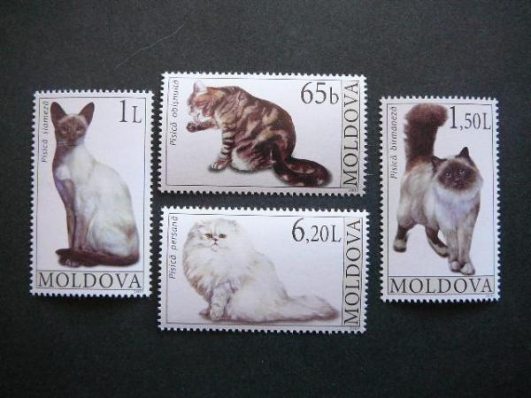 Moldavija 2007 Kates MNH #