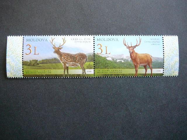 Moldavija 2008 Elniai MNH #