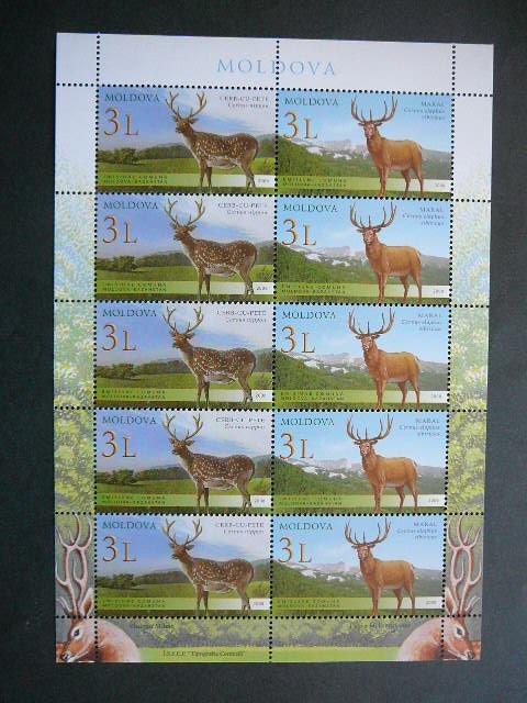 Moldavija 2008 Elniai MNH #klb