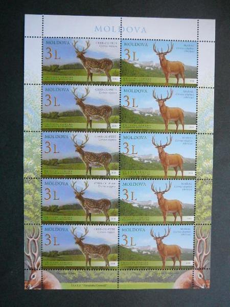 Moldavija 2008 Elniai MNH #klb