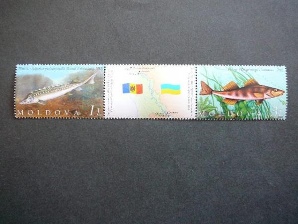 Moldavija 2007 Zuvys MNH #