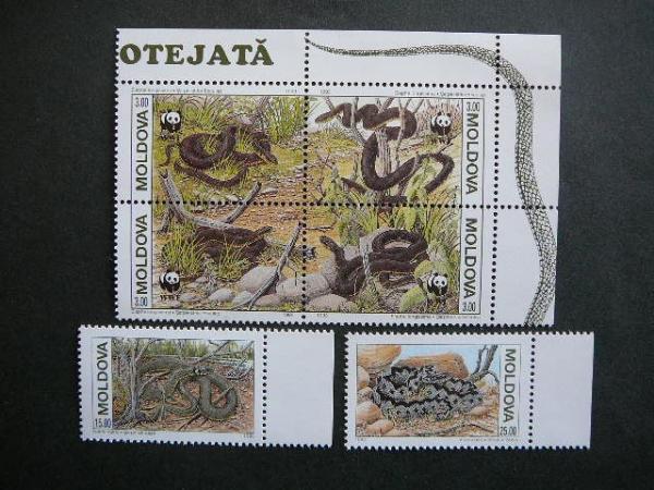 Kupčius aukcionas - Moldavija 1993 Gyvates MNH # 