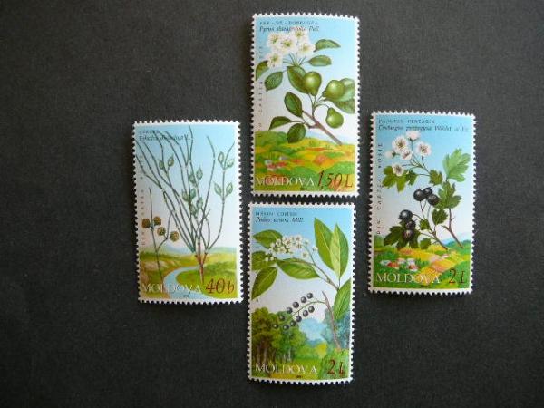 Moldavija 2004 Geles Augalai MNH #