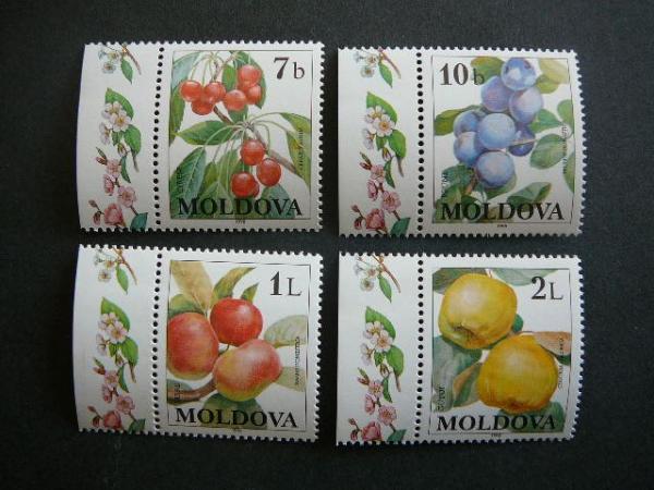 Moldavija 1998 Vaisiai MNH #
