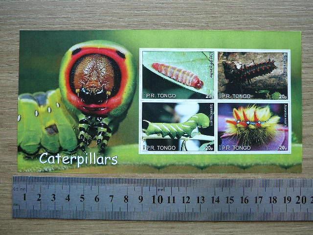 Viksrai Tonga 2010 svarus #bd22