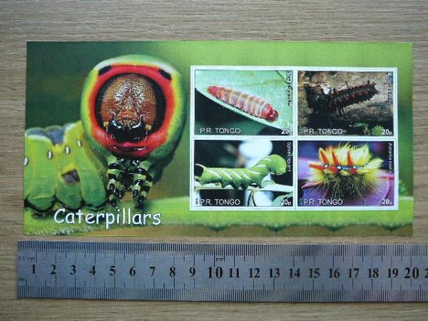 Viksrai Tonga 2010 svarus #bd22