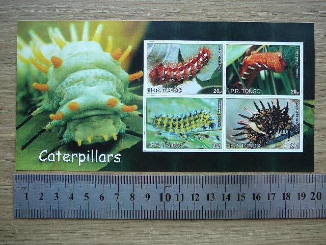 Viksrai Tonga 2010 svarus #bd23