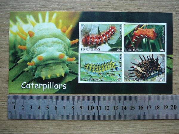 Viksrai Tonga 2010 svarus #bd23