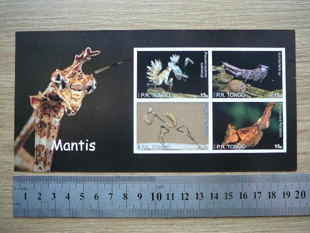 Vabzdziai Maldininkai Tonga 2010 svarus #bd25