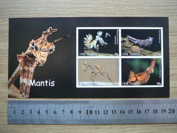 Vabzdziai Maldininkai Tonga 2010 svarus #bd25