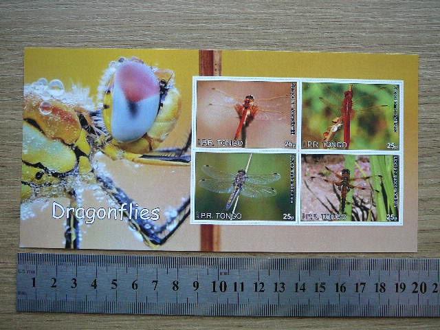 Vabzdziai Laumzirgiai Tonga 2010 svarus #bd26