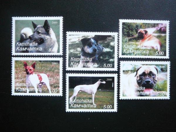 (R) Kamciatka 2000 Sunys svarus #111