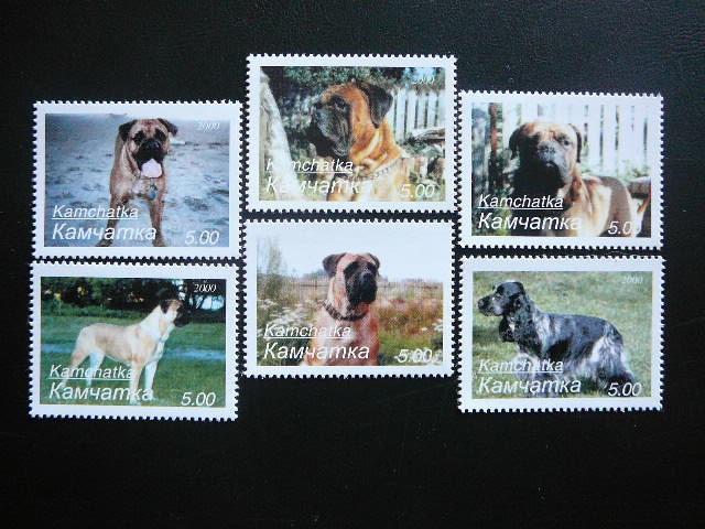 (R) Kamciatka 2000 Sunys svarus #112