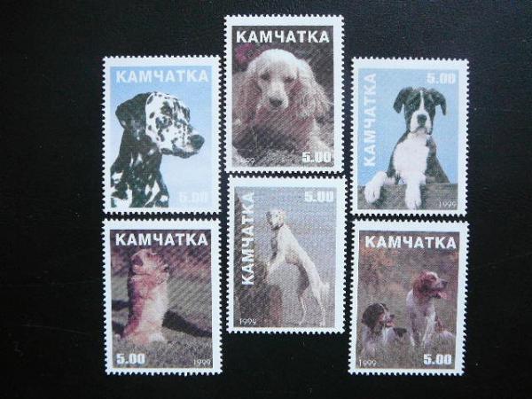 (R) Kamciatka 1999 Sunys svarus #110