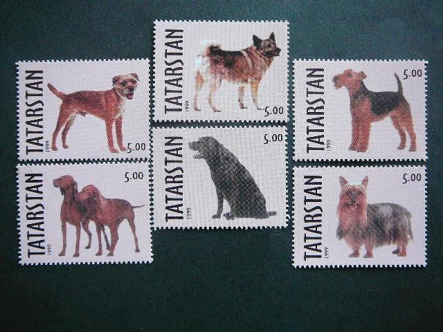 (R) Tatarstanas 1999 Sunys svarus #111