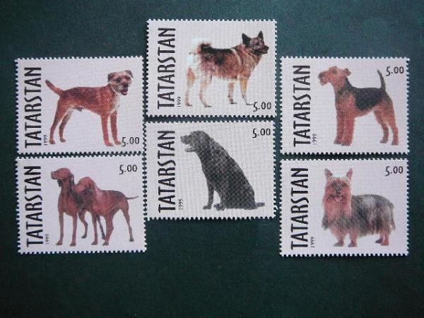 (R) Tatarstanas 1999 Sunys svarus #111