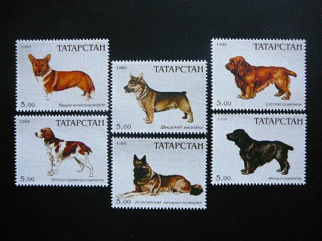 (R) Tatarstanas 1999 Sunys svarus #113
